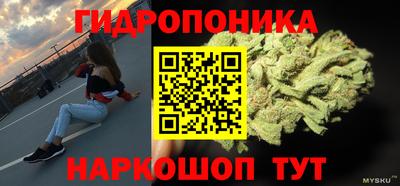 ПСИЛОЦИБИНОВЫЕ ГРИБЫ Краснодар