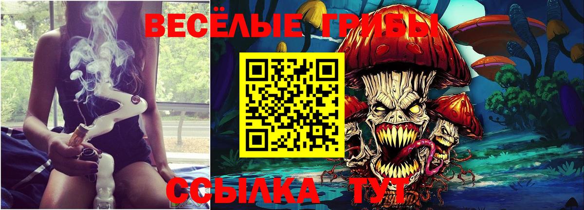 Псилоцибиновые грибы мухоморы Кирово-Чепецк